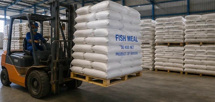 Fish Meal 50 KG Bags Packaging