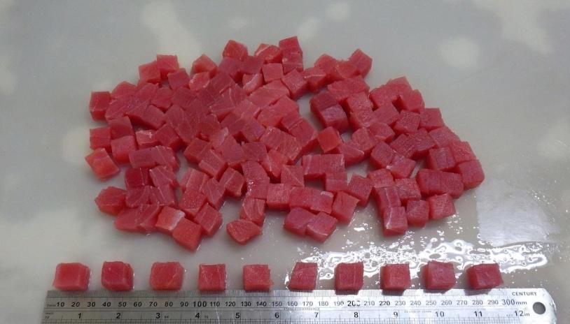 Tuna Cube