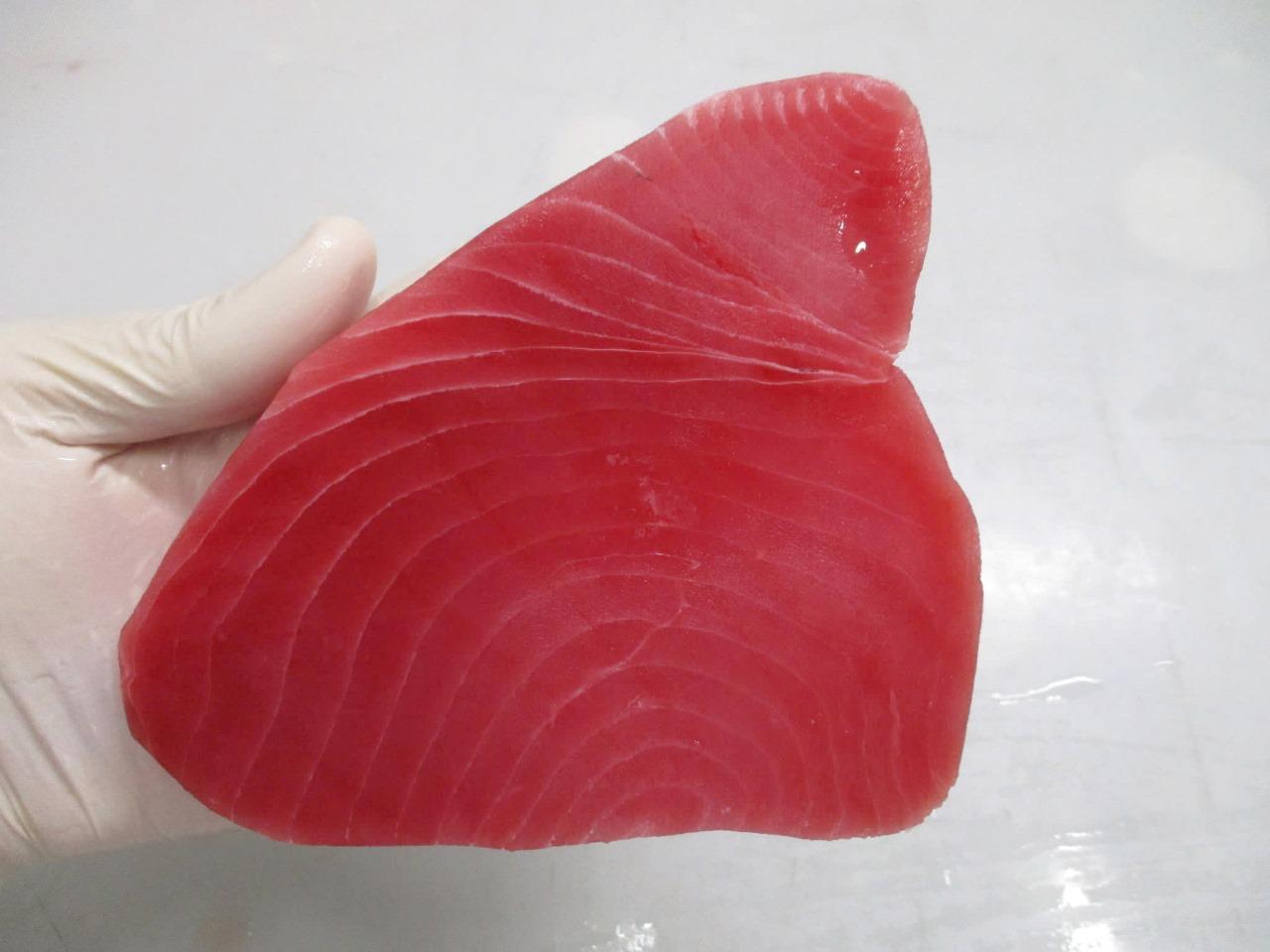 Tuna Steak